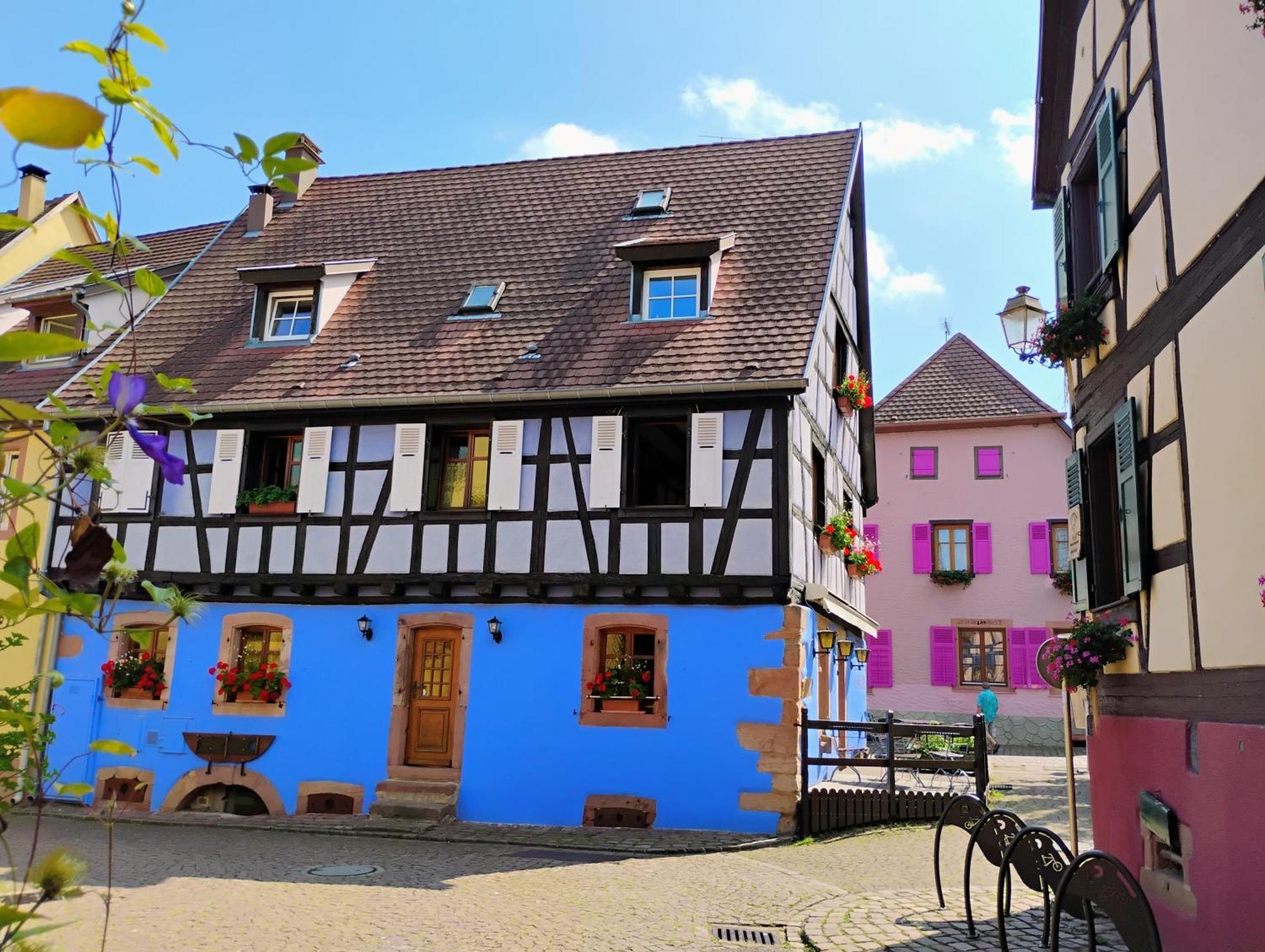 Châtenois Gite Le Marronnier - Au Calme - Parking & Terrasse - Pres De Colmar Et Riquewihr - Route Des Vins מראה חיצוני תמונה