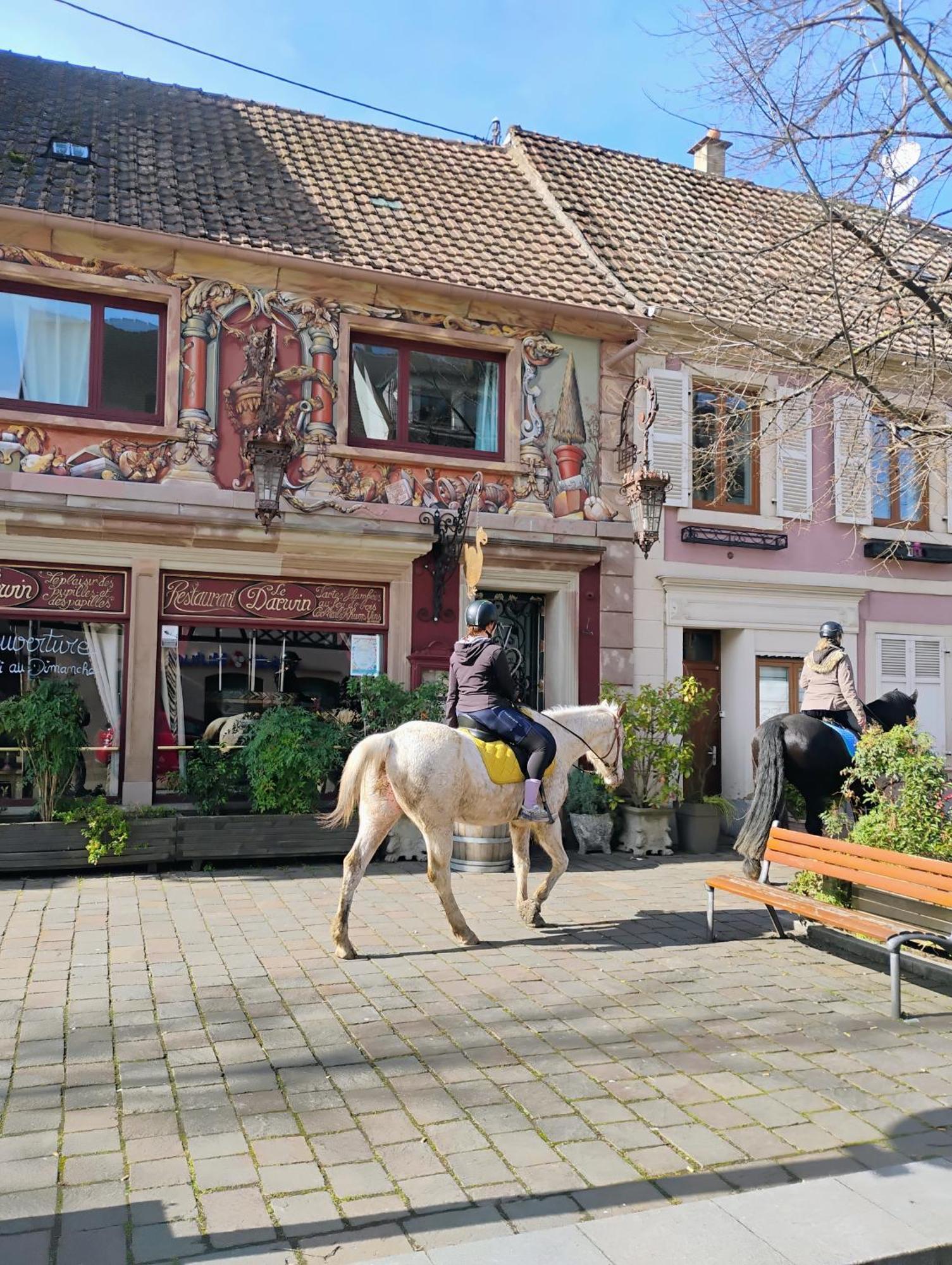Châtenois Gite Le Marronnier - Au Calme - Parking & Terrasse - Pres De Colmar Et Riquewihr - Route Des Vins מראה חיצוני תמונה
