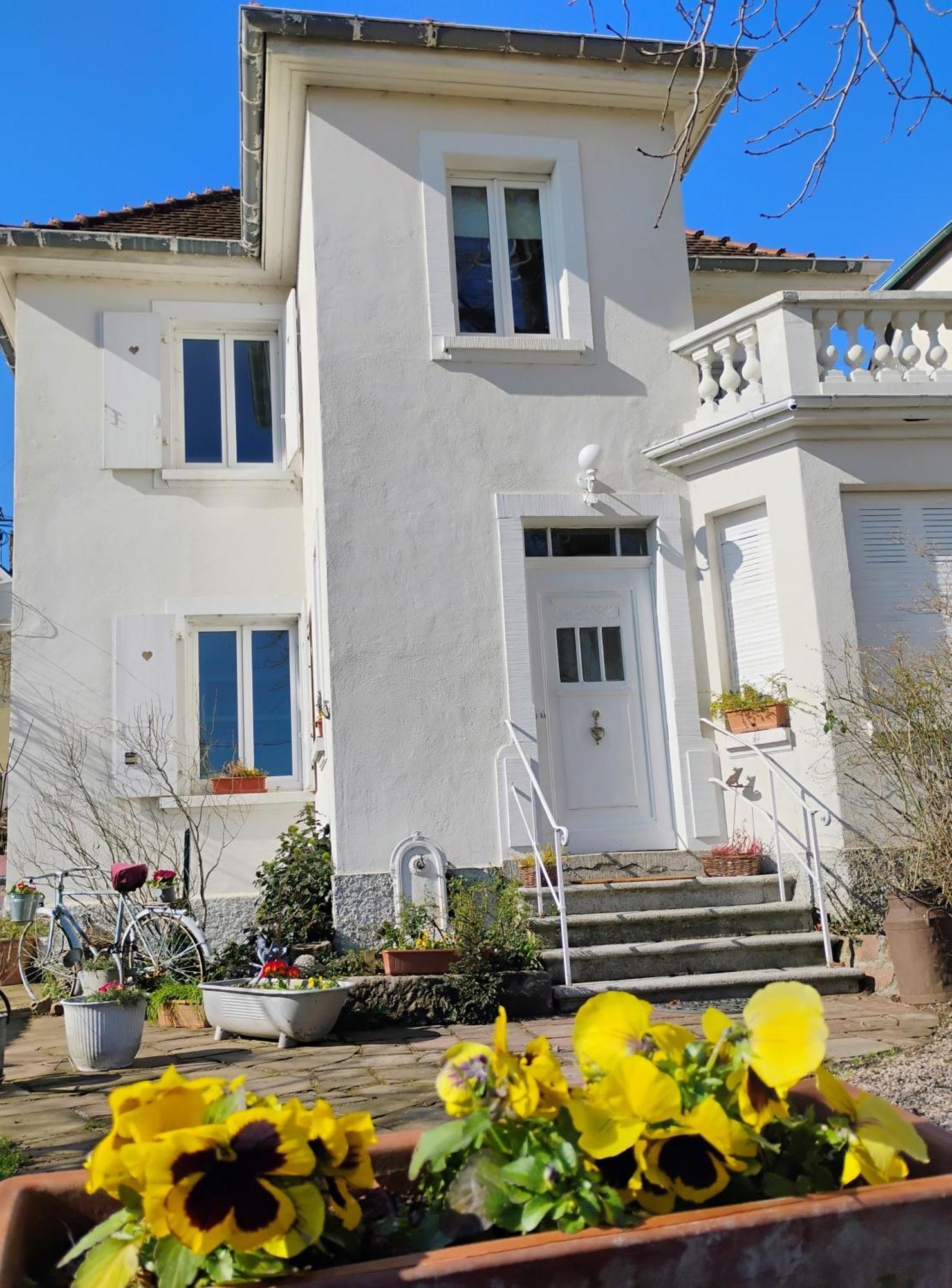 Châtenois Gite Le Marronnier - Au Calme - Parking & Terrasse - Pres De Colmar Et Riquewihr - Route Des Vins מראה חיצוני תמונה