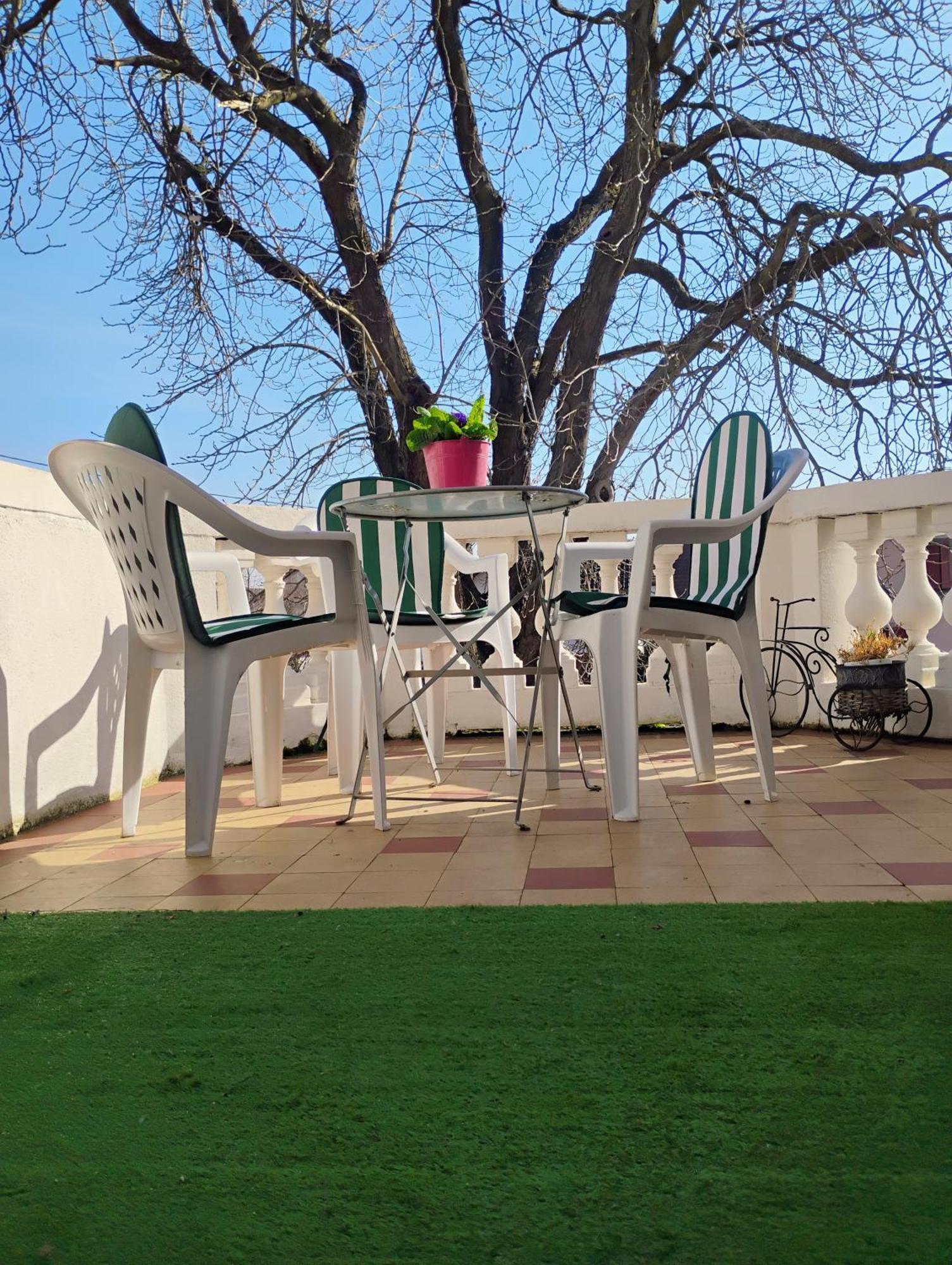 Châtenois Gite Le Marronnier - Au Calme - Parking & Terrasse - Pres De Colmar Et Riquewihr - Route Des Vins מראה חיצוני תמונה
