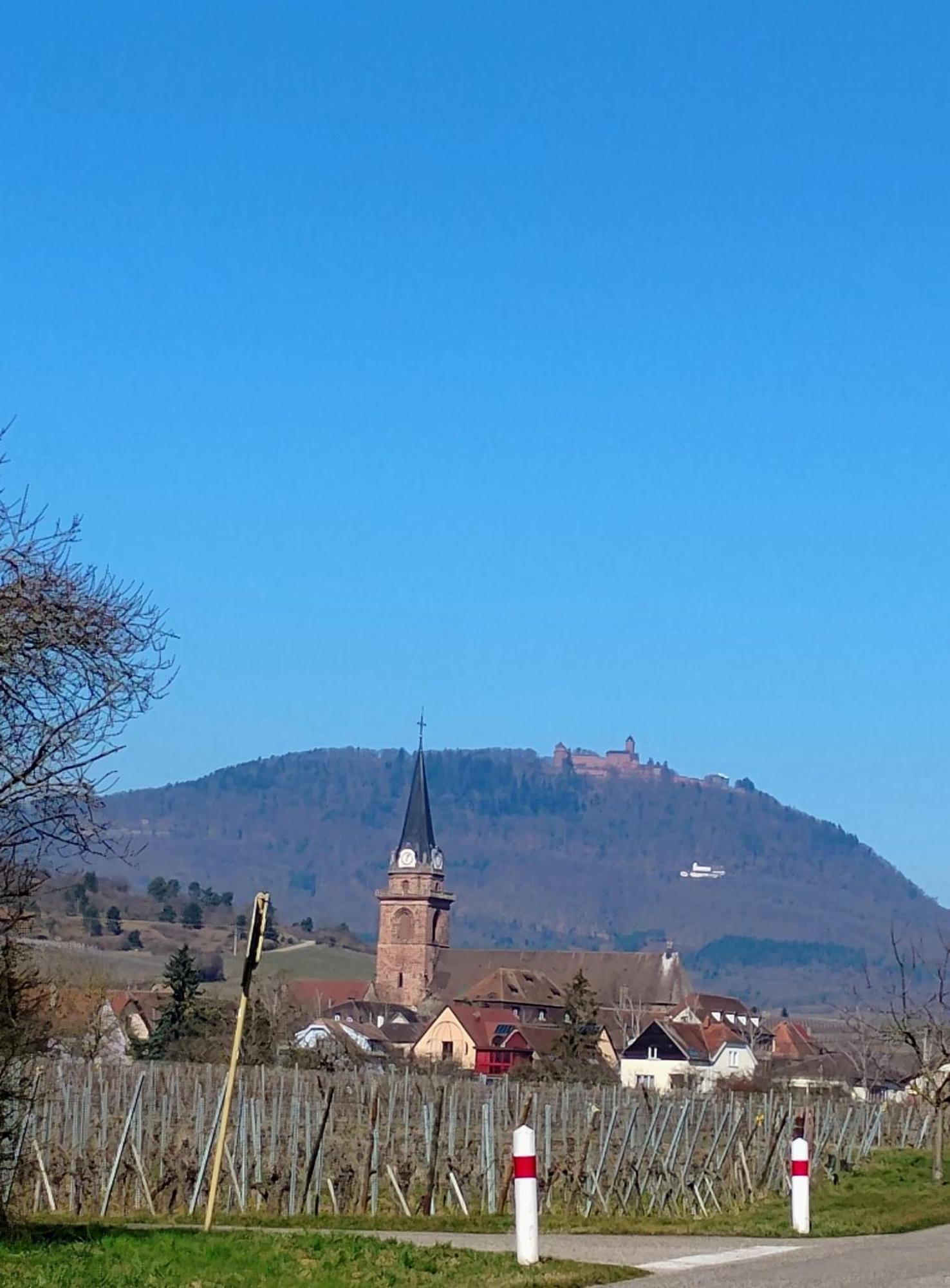 Châtenois Gite Le Marronnier - Au Calme - Parking & Terrasse - Pres De Colmar Et Riquewihr - Route Des Vins מראה חיצוני תמונה