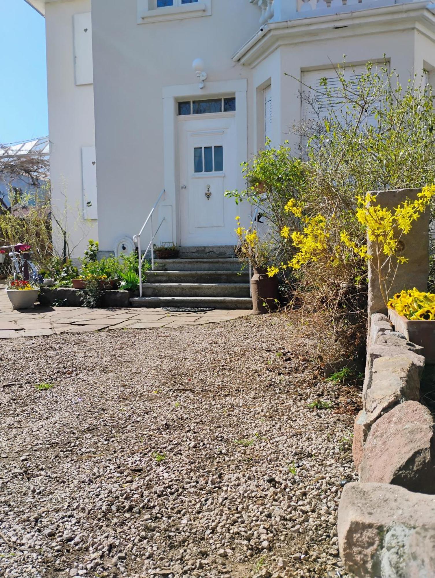 Châtenois Gite Le Marronnier - Au Calme - Parking & Terrasse - Pres De Colmar Et Riquewihr - Route Des Vins מראה חיצוני תמונה