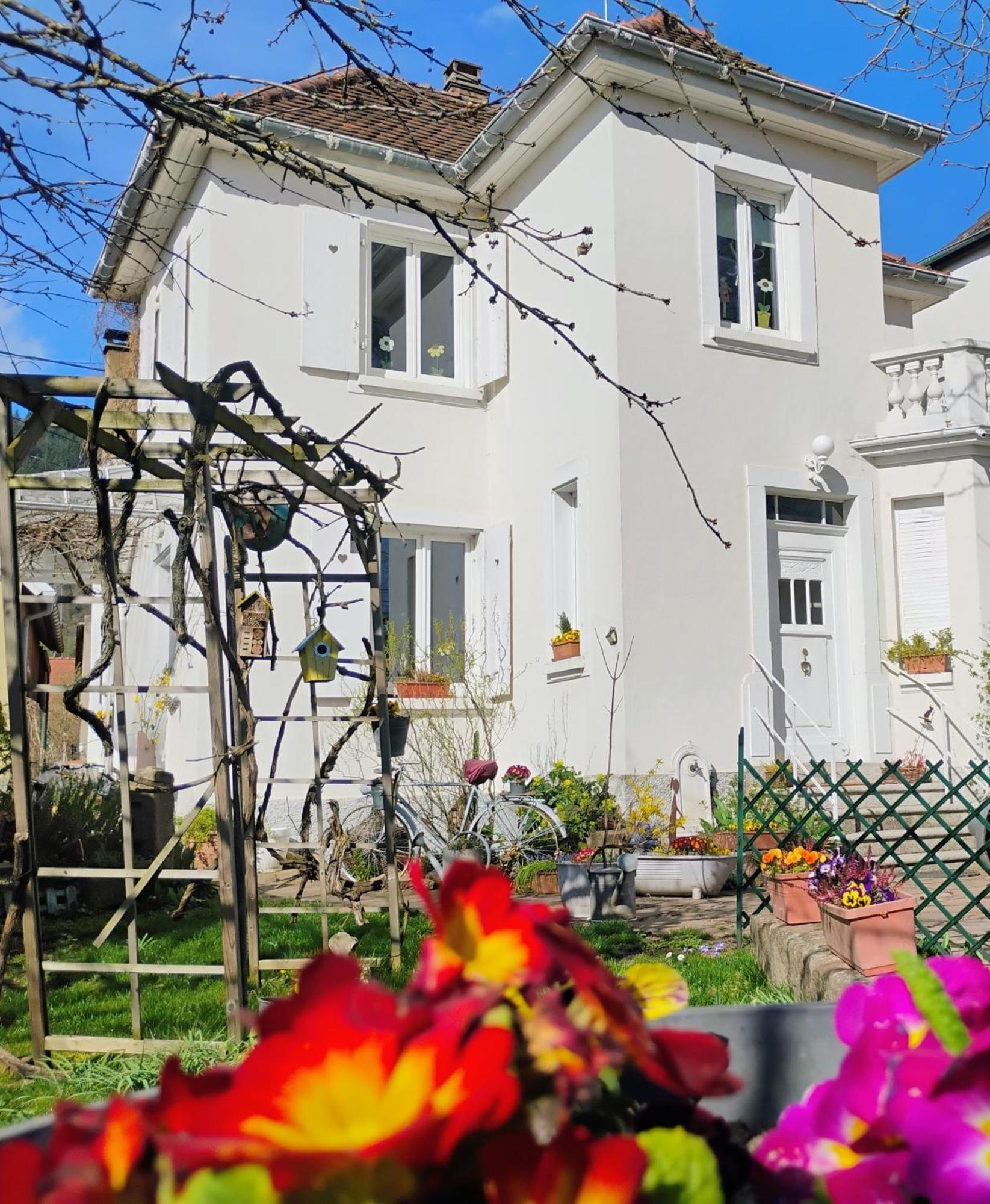 Châtenois Gite Le Marronnier - Au Calme - Parking & Terrasse - Pres De Colmar Et Riquewihr - Route Des Vins מראה חיצוני תמונה