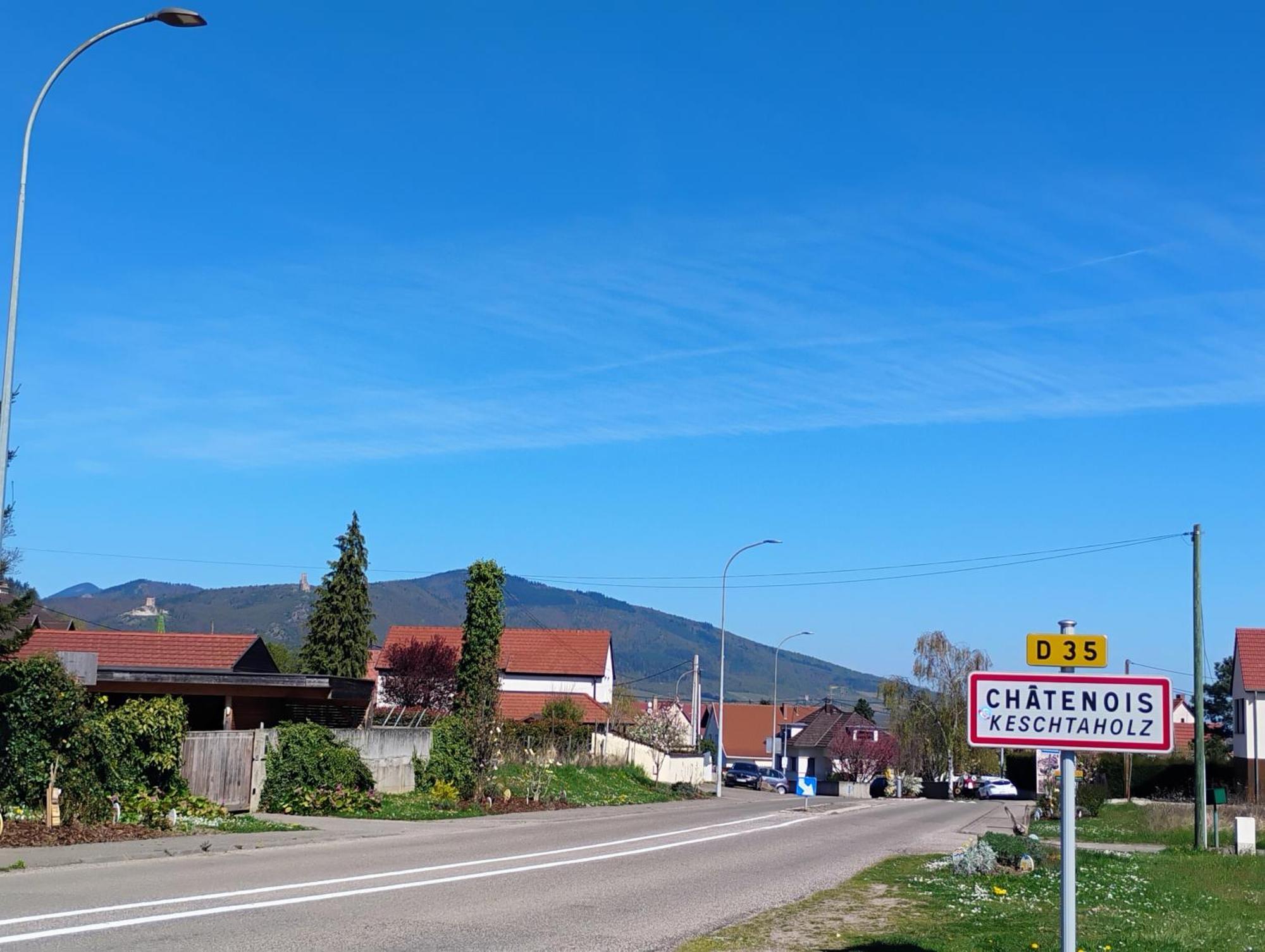 Châtenois Gite Le Marronnier - Au Calme - Parking & Terrasse - Pres De Colmar Et Riquewihr - Route Des Vins מראה חיצוני תמונה