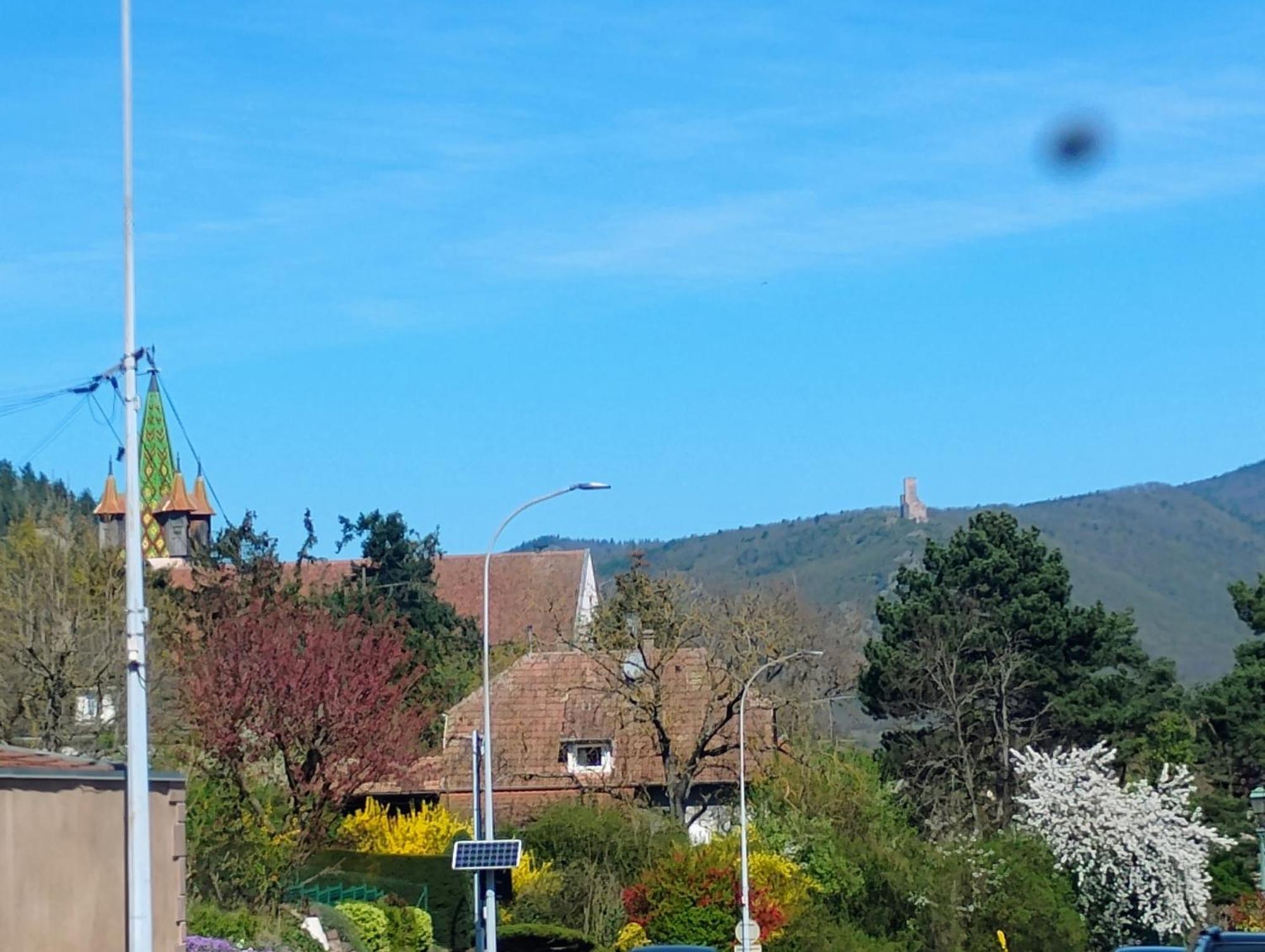 Châtenois Gite Le Marronnier - Au Calme - Parking & Terrasse - Pres De Colmar Et Riquewihr - Route Des Vins מראה חיצוני תמונה