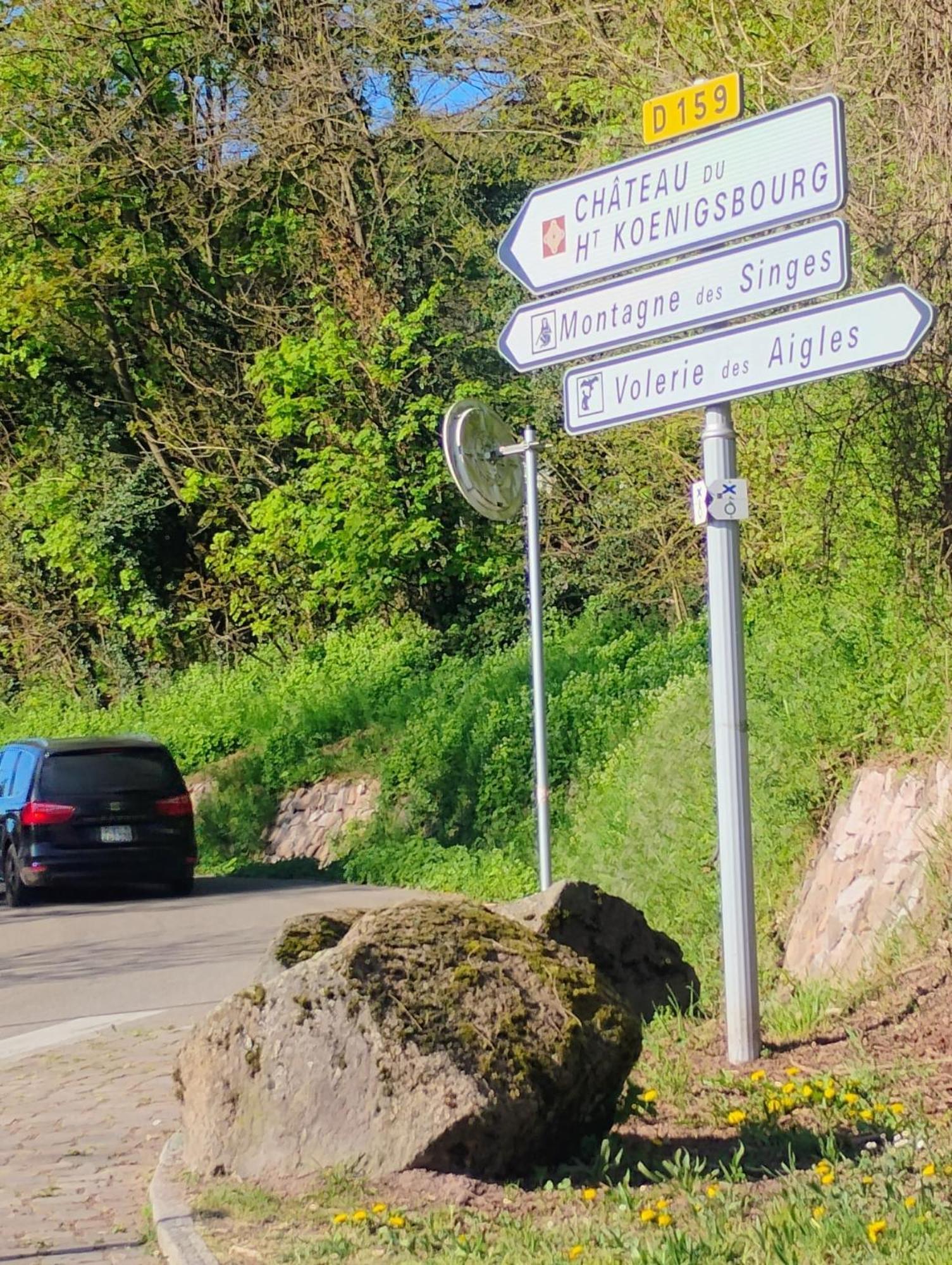 Châtenois Gite Le Marronnier - Au Calme - Parking & Terrasse - Pres De Colmar Et Riquewihr - Route Des Vins מראה חיצוני תמונה